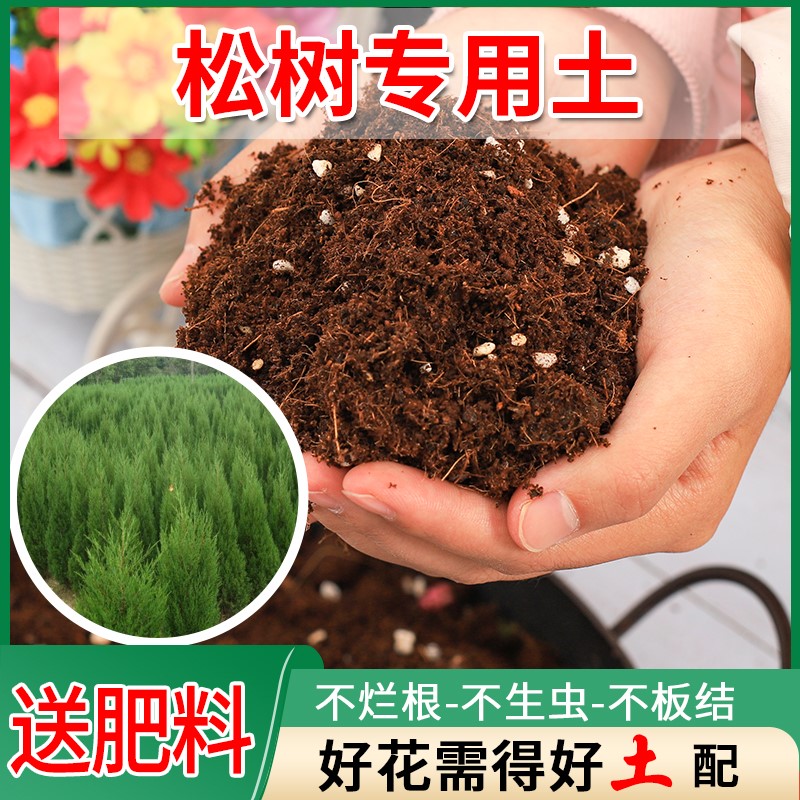 松树盆栽栽培土防烂根扦插园艺加牛粪天然腐殖专用土基质花园育苗