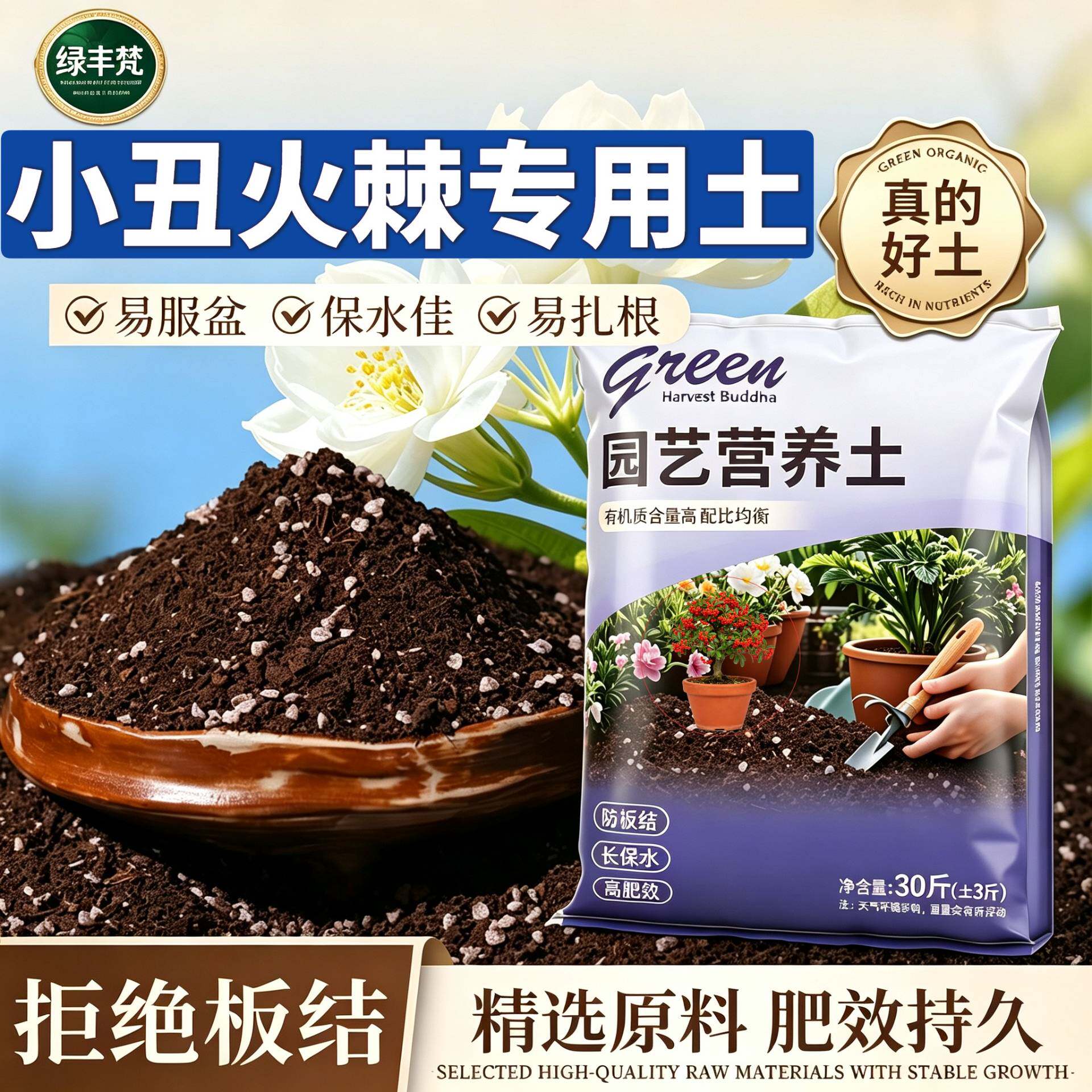 小丑火棘适用腐叶土加珍珠岩阳台泥炭基质优质防黄叶球根盆景观花