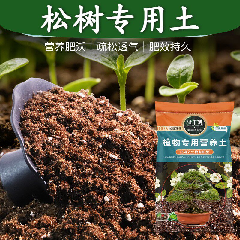 松树适用轻质园艺土改良土质营养土腐熟充分防黄叶开袋即用观叶