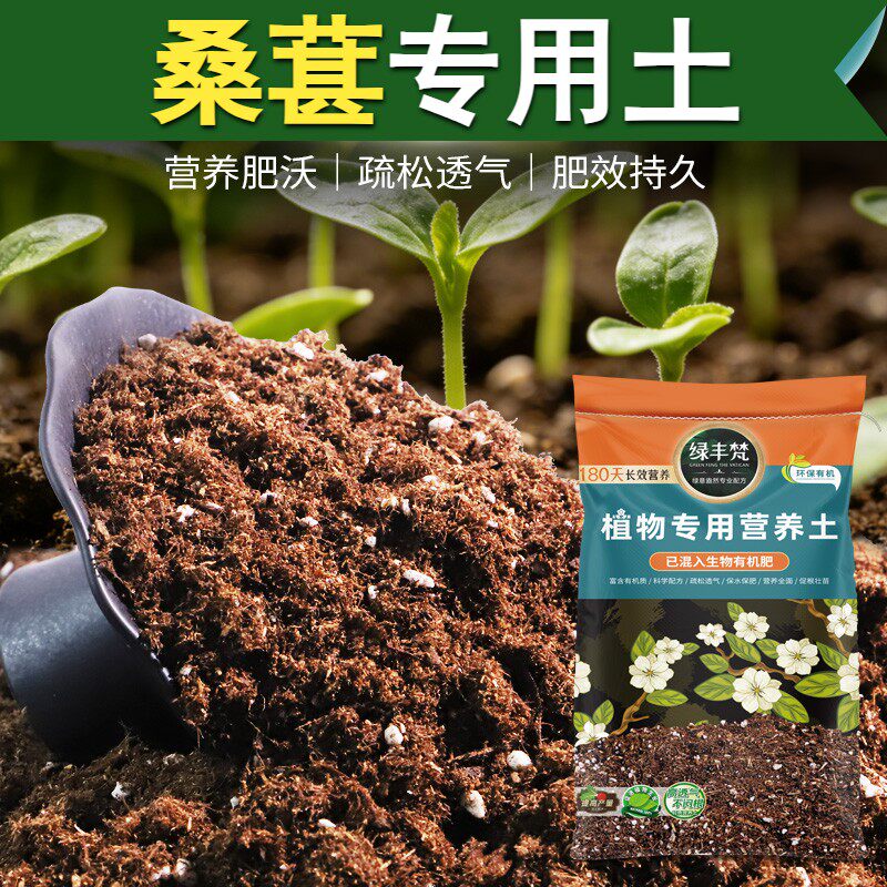 桑葚适用轻质园艺土温和基质种菜盆栽土细腻均匀防徒长无草籽木本