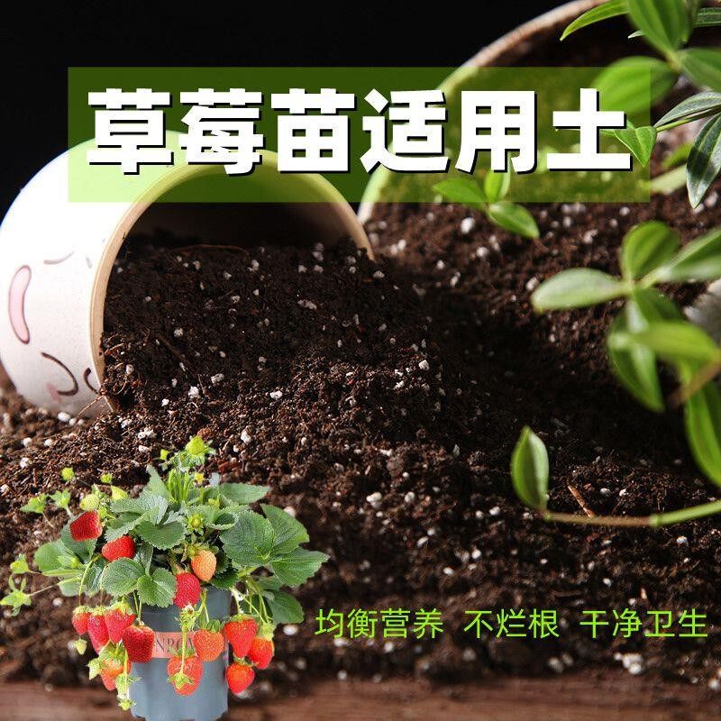 草莓苗适用土酸性家用养花营养土通用型透气有机土盆栽种植土壤肥