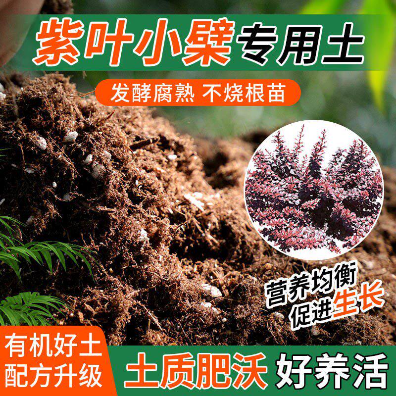 紫叶小檗专用土种植士营养土家庭阳台养花盆栽绿植轻质有机肥料土