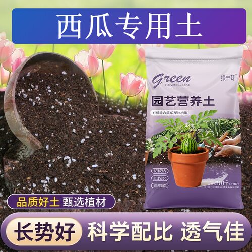 西瓜适用进口泥炭土根壮苗好花园加深生根粉无菌绿叶观叶高温灭菌
