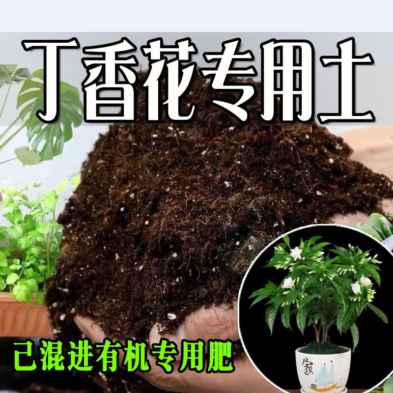 丁香花专用土 丁香花专用营养土 盆栽养花种花土通用种植土壤肥料