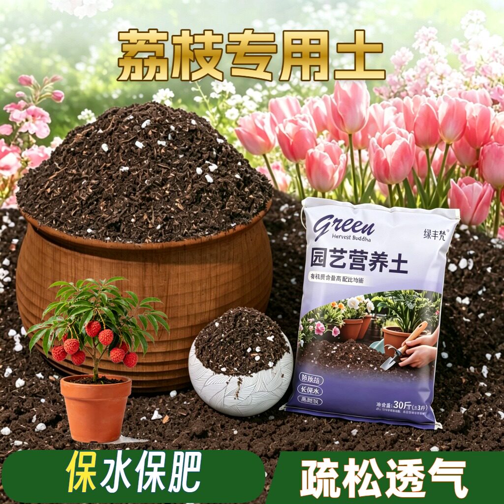 荔枝适用种植土高温灭菌根壮苗好园艺加深生根粉精选增色木本菜园