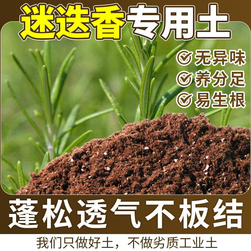 迷迭香专用花泥不板结花园种植土有机绿叶试用装观叶栽植辅助发根