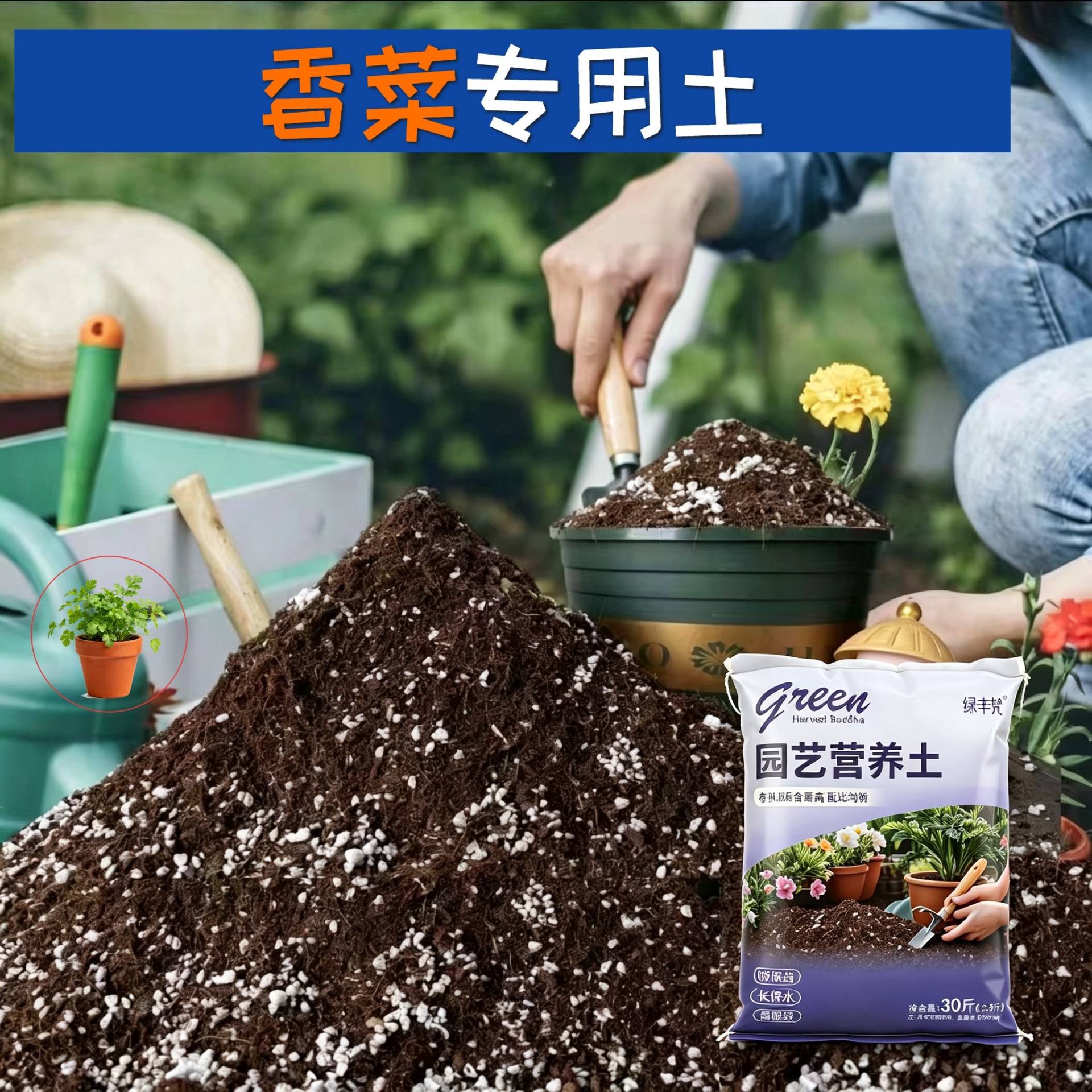 香菜适用盆景土不烂根室内包邮天然壮根喜酸花园多肉腐叶土不板结