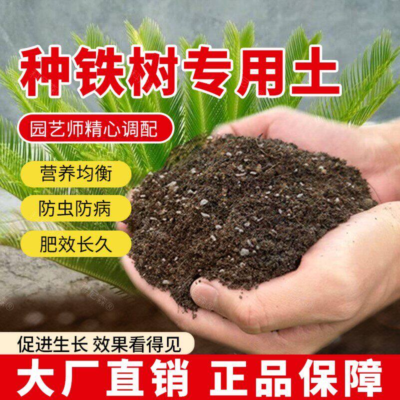 铁树专用土肥料绿植椰砖家庭室内泥土铁树营养土育苗花土园艺花卉