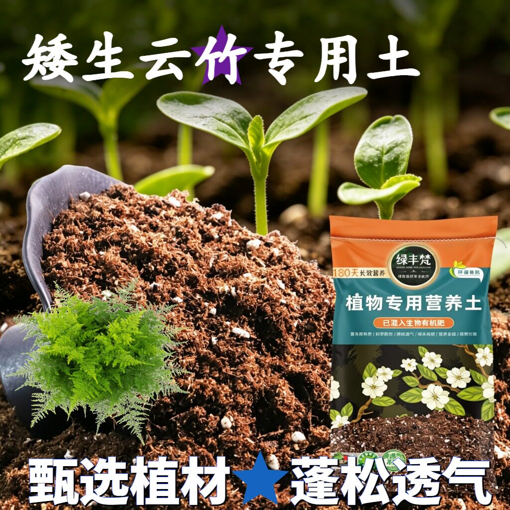 矮生云竹专用基质家庭适用多肉盆栽土性质稳定壮根大包装木本月季