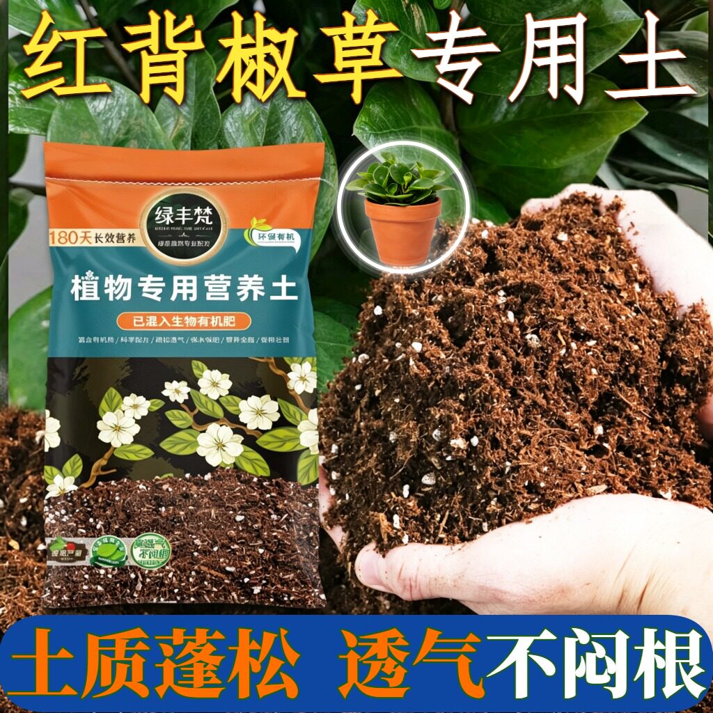 红背椒草适用基质无尘处理盆景盆栽土天然减少积水无草籽观叶花盆