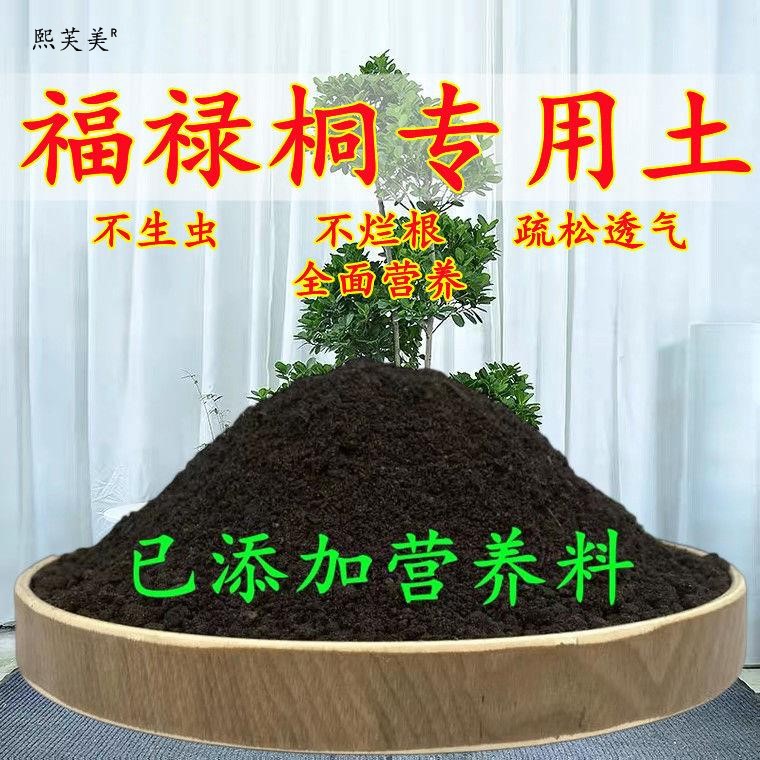 福禄桐专用轻质园艺土不板结扦插盆栽土精选观叶优质球根天然菜园