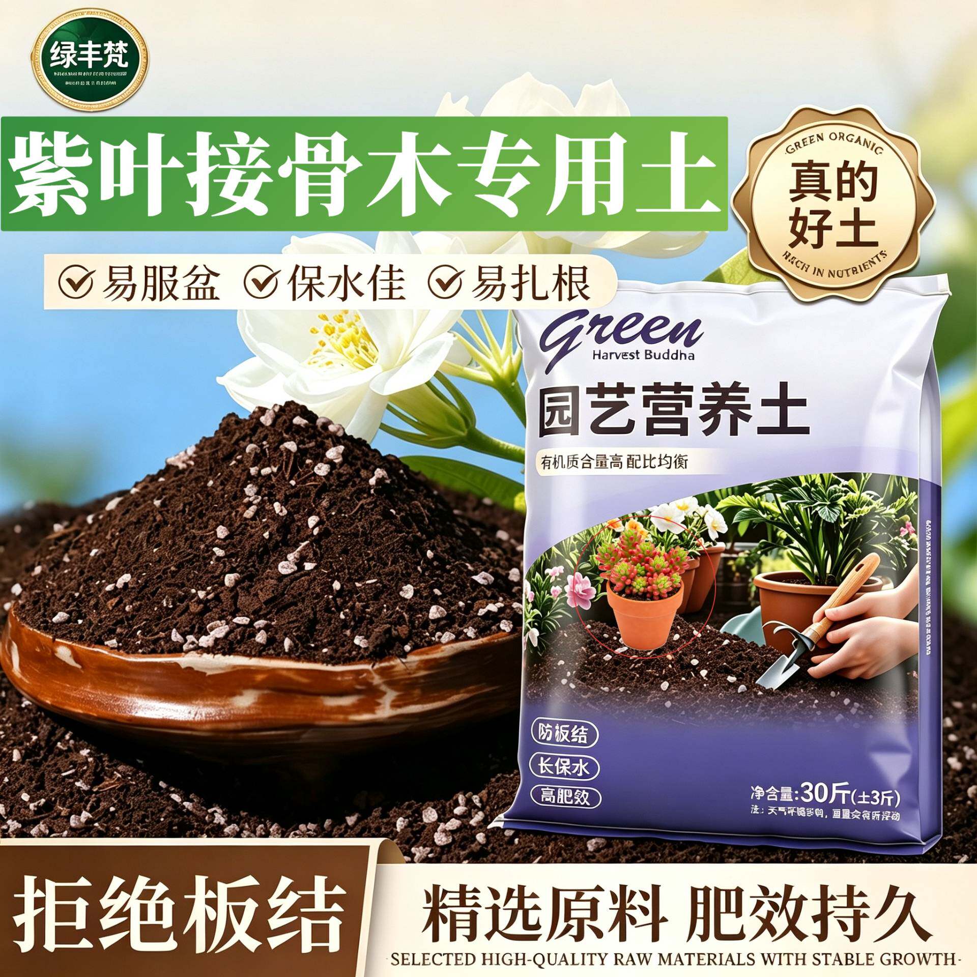 紫叶接骨木专用种植土不闷根家庭园艺加深生根粉无菌防黄叶喜酸