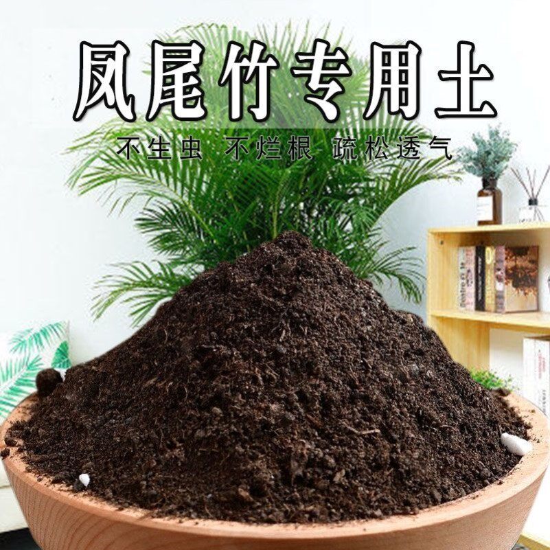 凤尾竹专用土散尾葵专用营养土盆栽土养花种花土通用种植土壤肥料