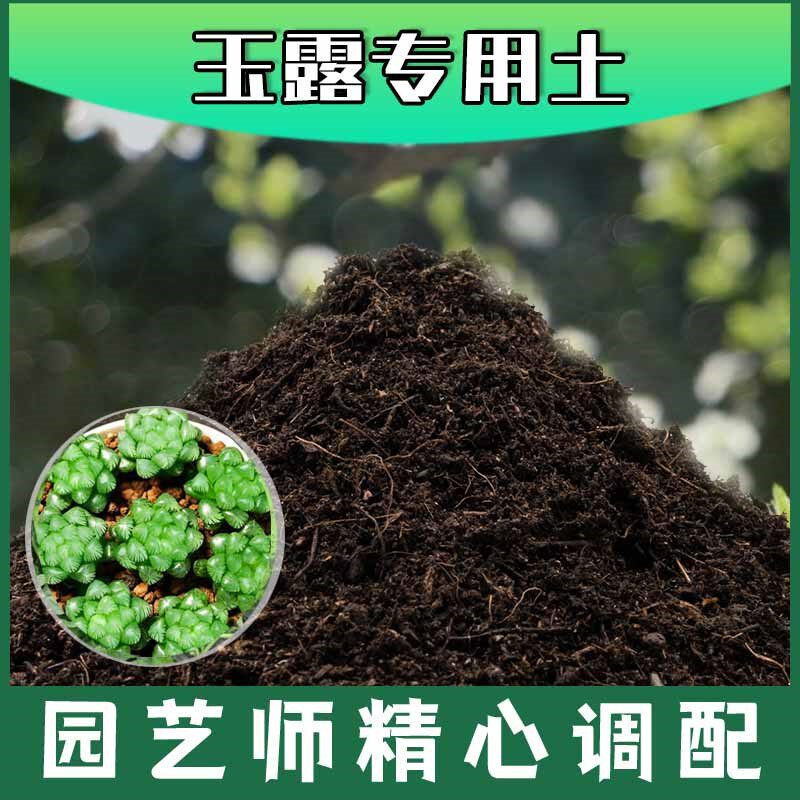 玉露专用土腐殖土种花养花盆栽土玉露营养土种植肥料有机土壤