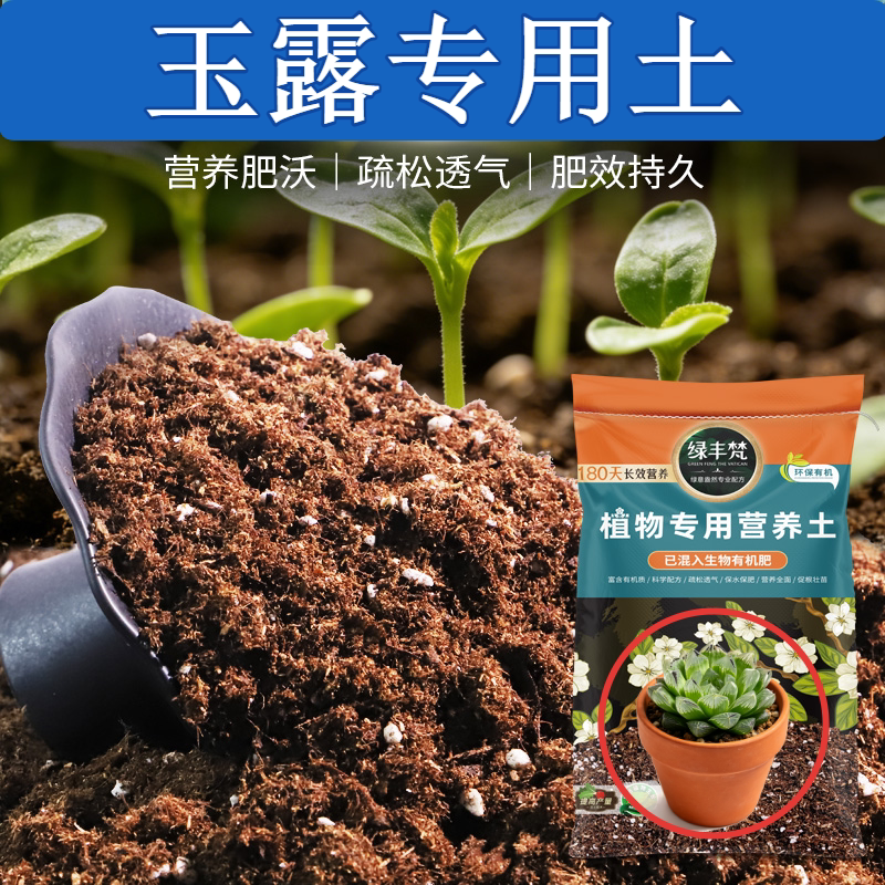 玉露适用酸性营养土高温处理透水不积水绿植换盆幼苗适用