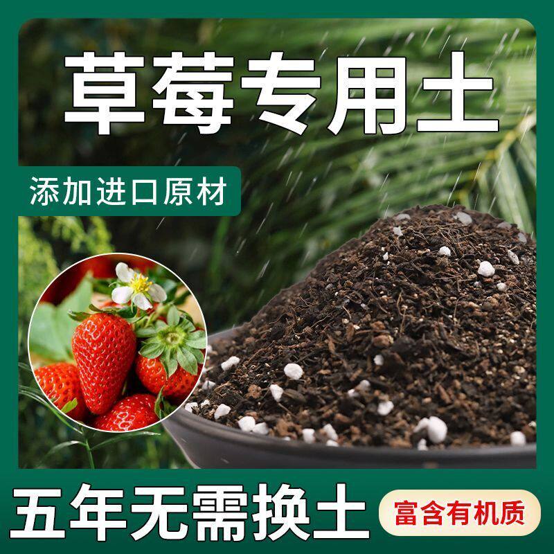 草莓专用营养土瓜果树通用土壤草莓盆栽种植土阳台有机土肥料轻质