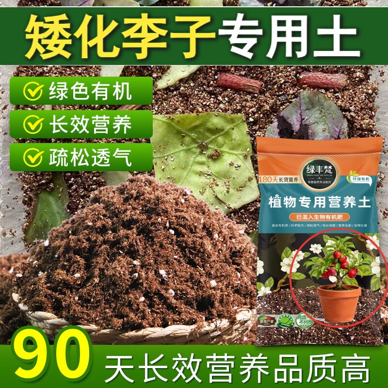 矮化李子适用土壤排水顺畅栽植盆栽土杂质较少平衡土质试用装观花
