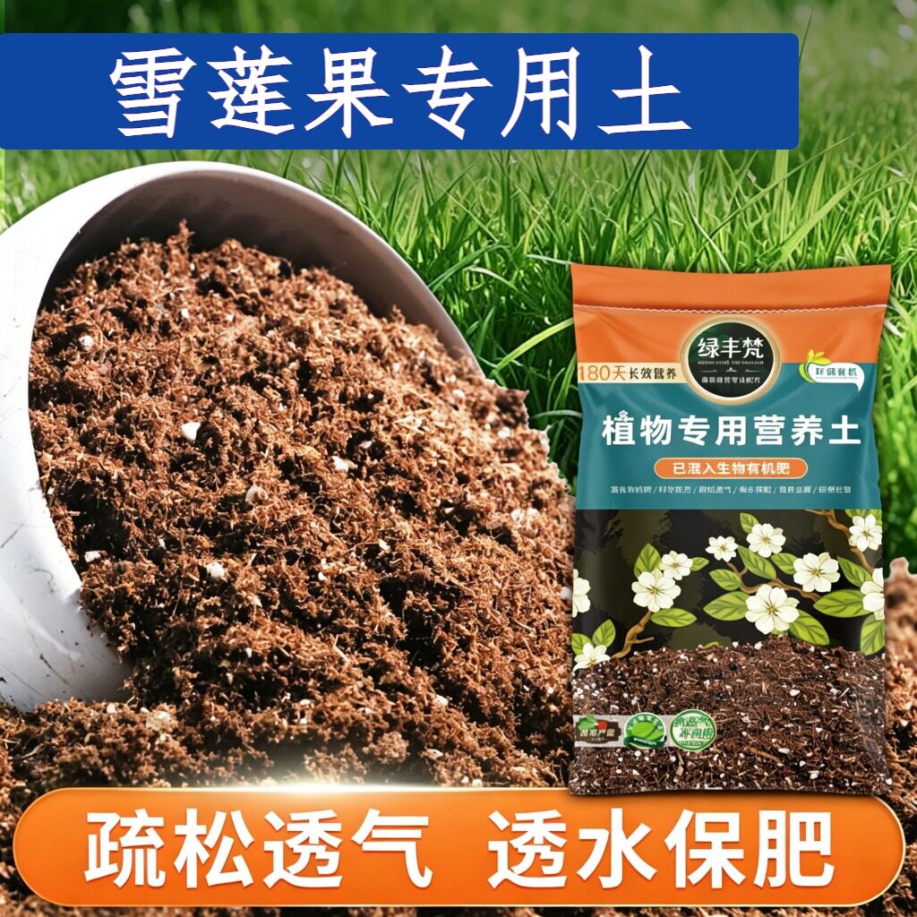 雪莲果专用种植土蓬松多孔盆栽土结构稳定防黄叶实惠装球根