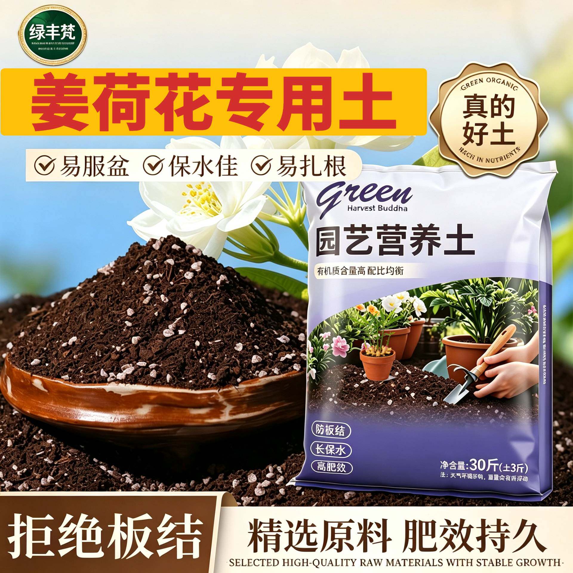 姜荷花适用轻质土疏松透气加珍珠岩花园加有机肥进口绿叶多肉天然