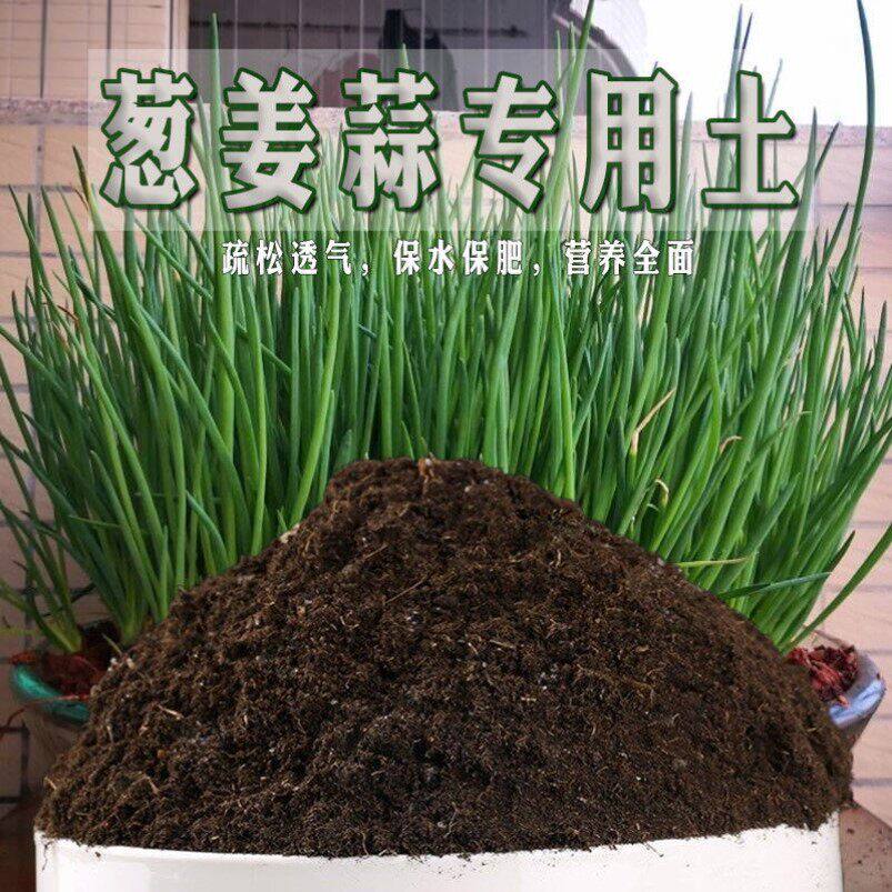 种葱专用土葱姜蒜营养土蔬果黑土有机盆栽泥土园艺果蔬农用种植土