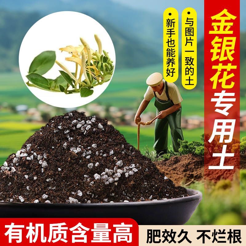 金银花营养土专用土透气疏松含泥炭肥料通用有机种植土适用土轻质