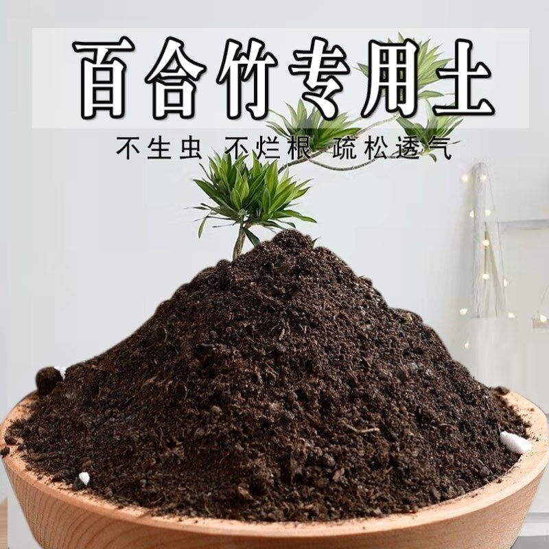 百合竹专用土百合竹土盆栽有机土肥料种花泥土营养土种植土壤肥料图片