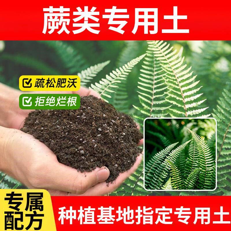 蕨类专用土绿植物花卉种植土种花土栽培土种菜土盆栽专用土花草