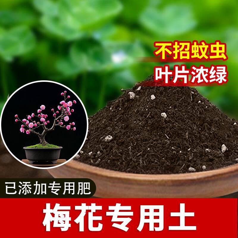 梅花专用土蓬松多肉土花园通用型室内椰砖植物盆栽专用土花卉家用