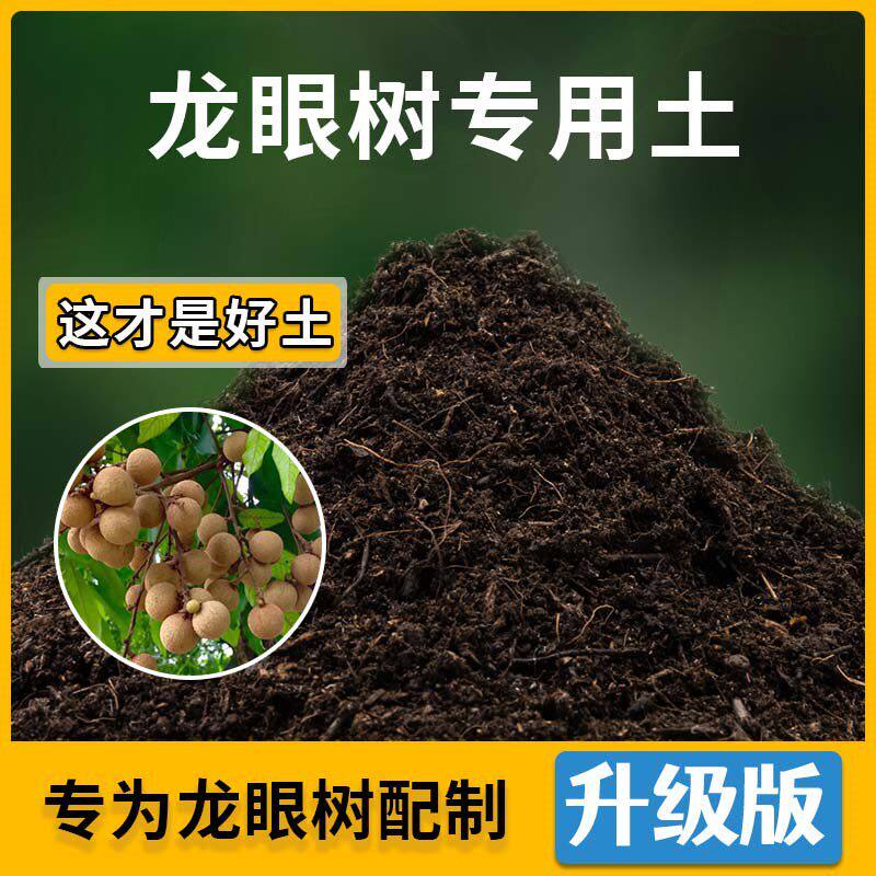 龙眼树专用土龙眼树营养土家用种植土壤家庭盆栽种花养花有机土