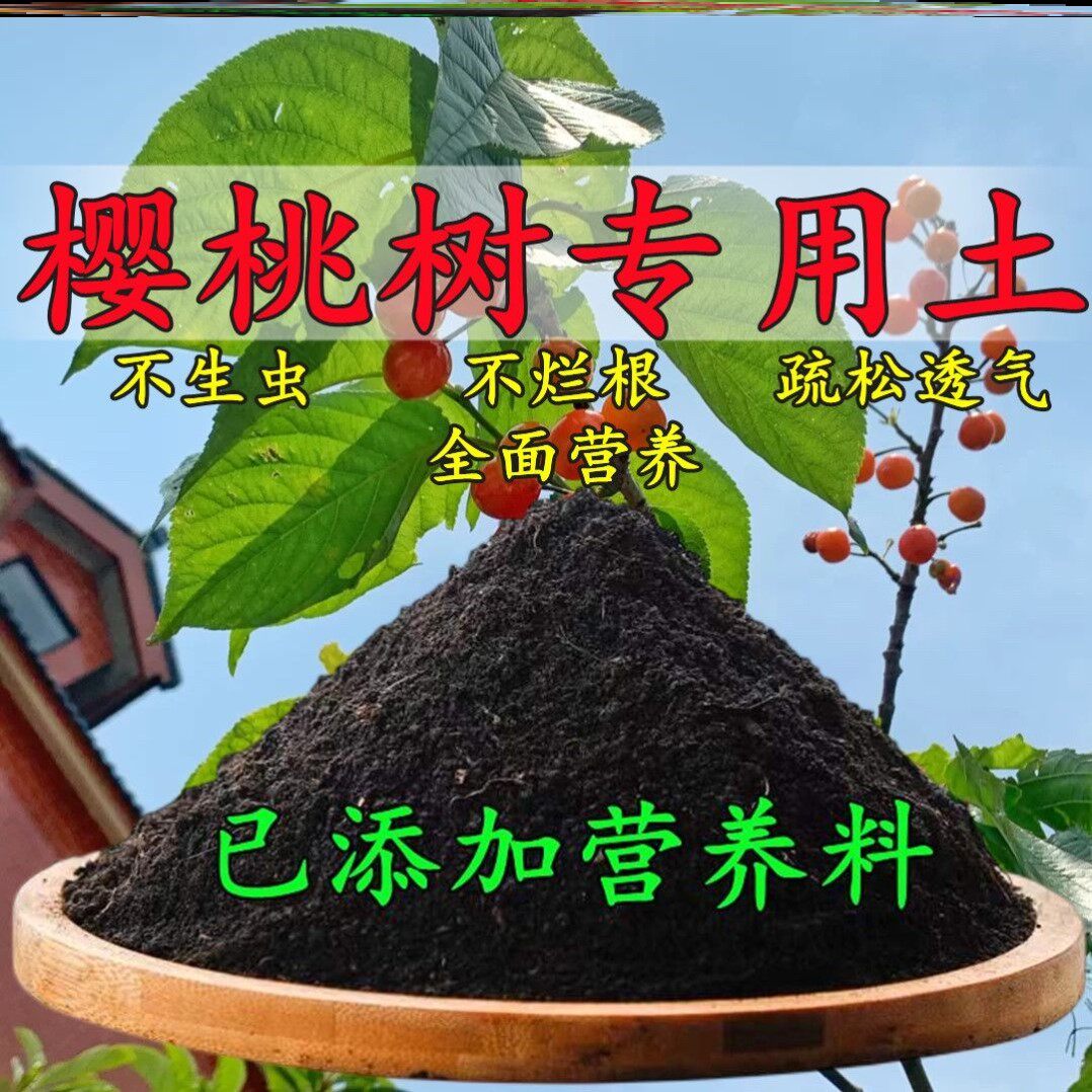 樱桃树专用土车厘子专用营养土盆栽土养花种花土通用种植土壤肥料
