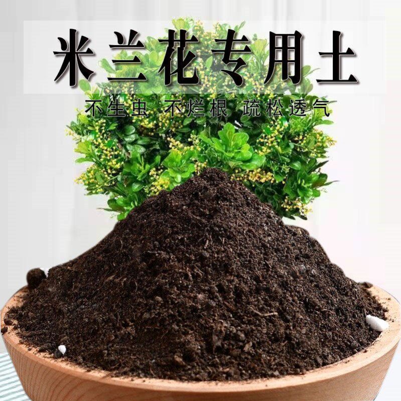米兰花专用土米兰花专用营养土种植园艺天然家庭阳台绿植物种植土图片