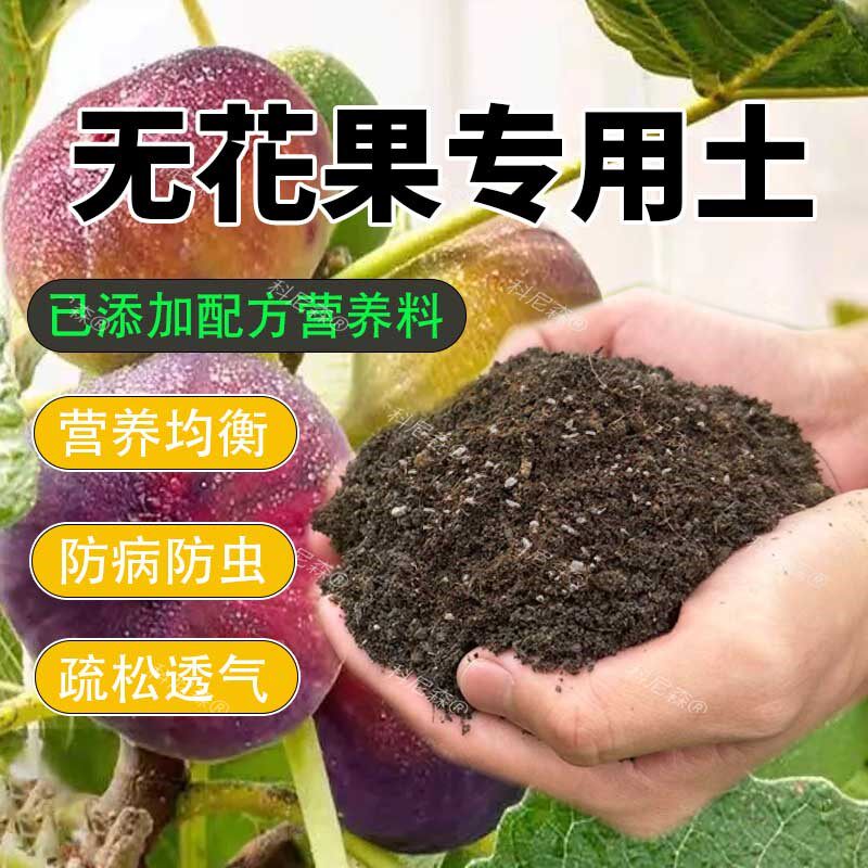 无花果专用土盆栽无花果营养土通用型土养花果树土绿植种植肥料土