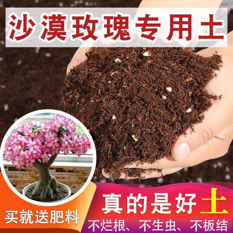 沙漠玫瑰花专用土沙漠玫瑰专用土多肉植物盆栽种多肉专用的营养土