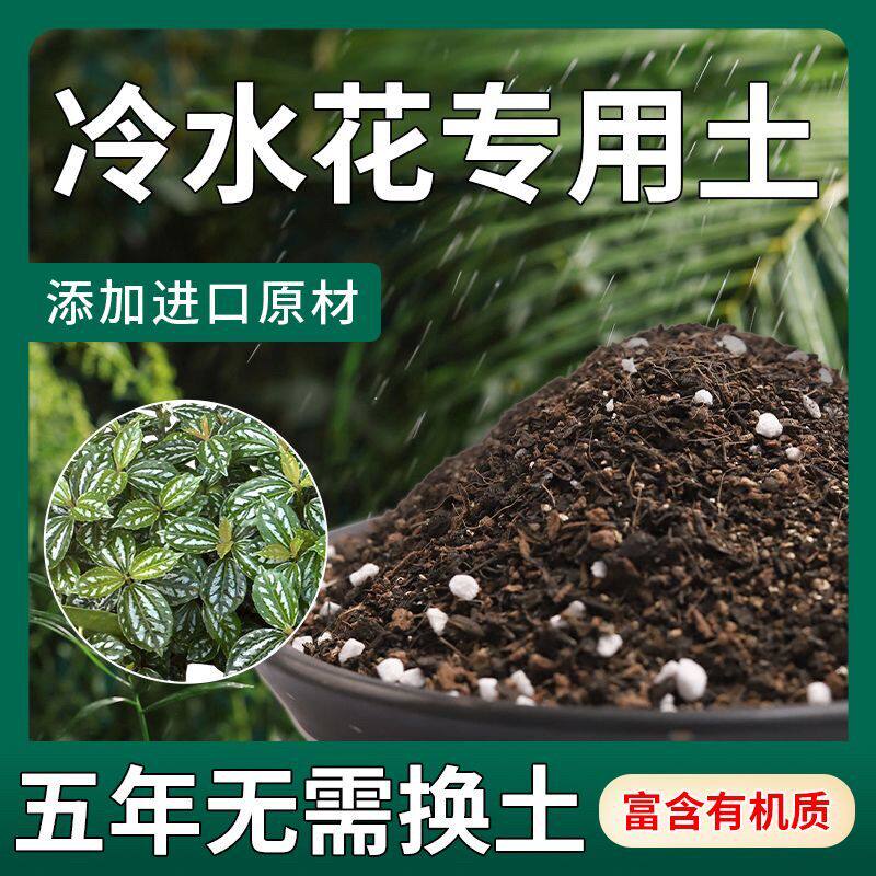 【不生虫】冷水花适用土疏松透气盆栽绿植专用室内植物营养土肥料