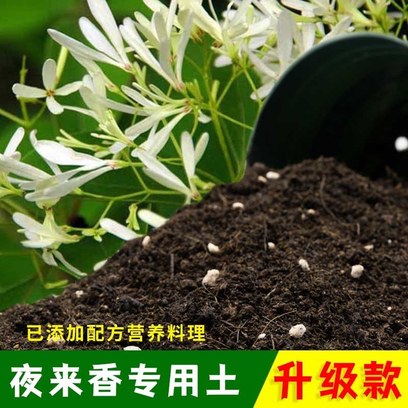 夜来香专用土有机土肥料家用种植土夜来香营养土盆栽养花通用包邮