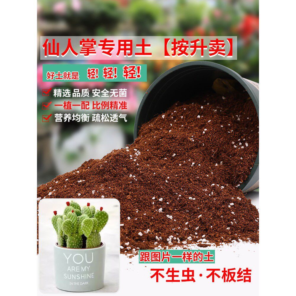 仙人掌专用土营养土园艺种植土弱酸性通用型仙人掌盆栽培养土新土