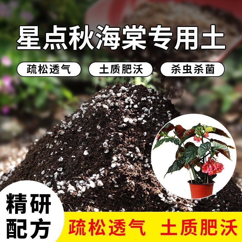 星点秋海棠专用土营养土通用种花养花多肉专用土营养土有机肥料
