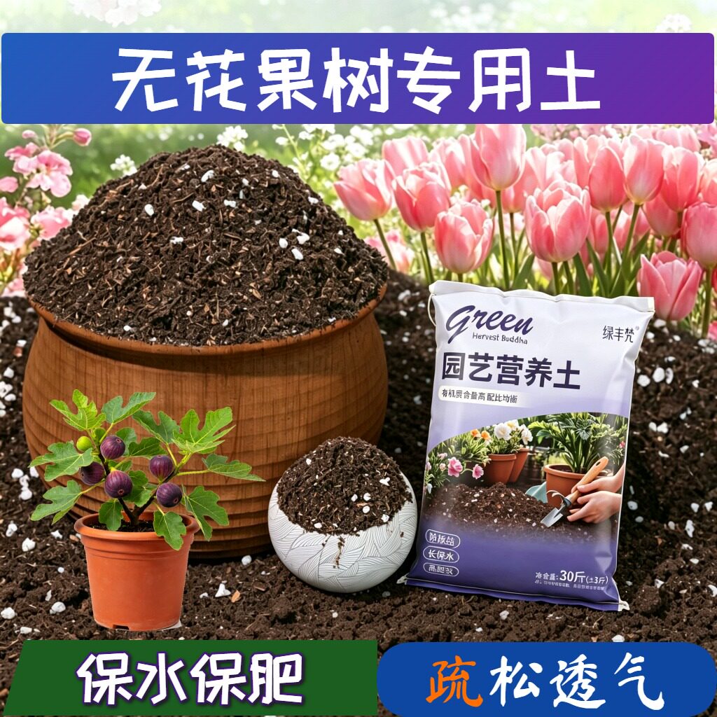 无花果树适用有机土根壮苗好高温灭菌加深生根粉优质防黄叶喜酸