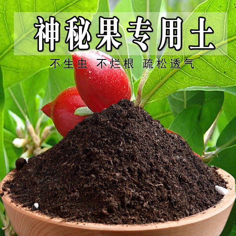 神秘果专用土神秘果专用营养土盆栽土养花种花土通用种植土壤肥料