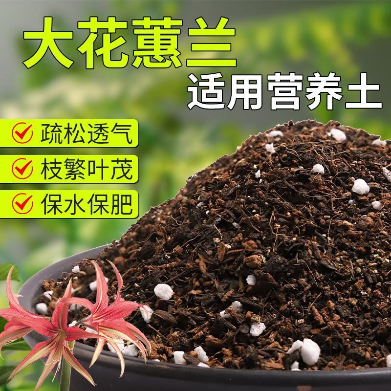 【大花蕙兰专用土】疏松透气盆栽绿植专用室内植物有机营养土肥料