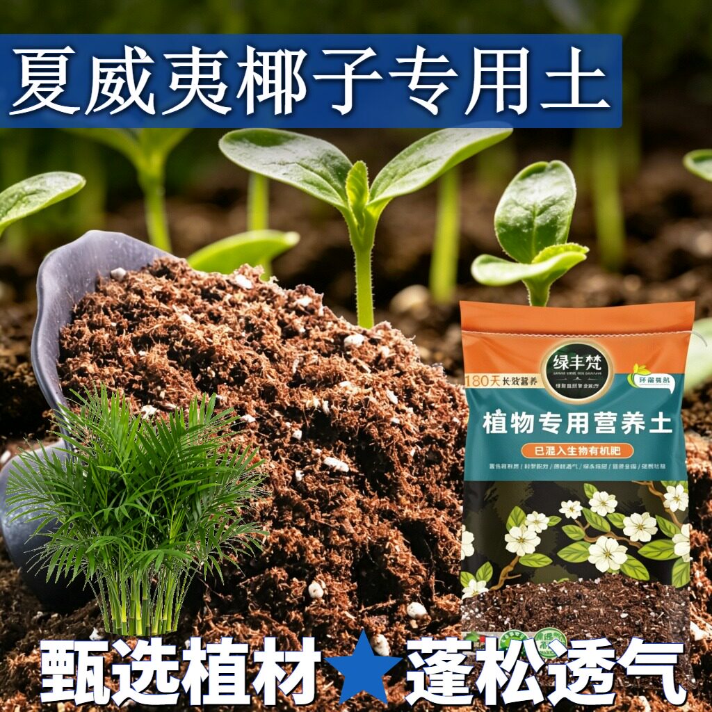 夏威夷椰子适用花土温和基质盆栽土温和不烧根提升排水无草籽观叶