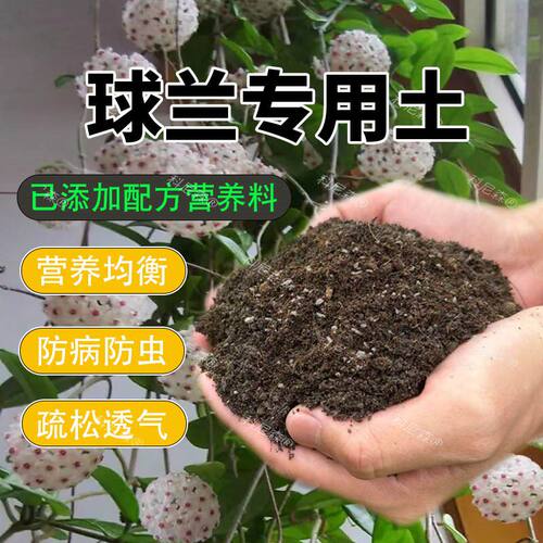 球兰专用土球兰营养土盆栽专用肥料花泥土通用透气土种植特配土壤