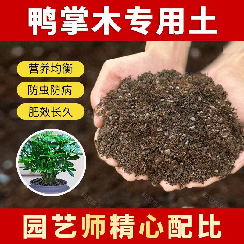 鸭掌木专用土鸭脚木肥料种植鸭掌木营养土家用绿植花卉花土盆栽土