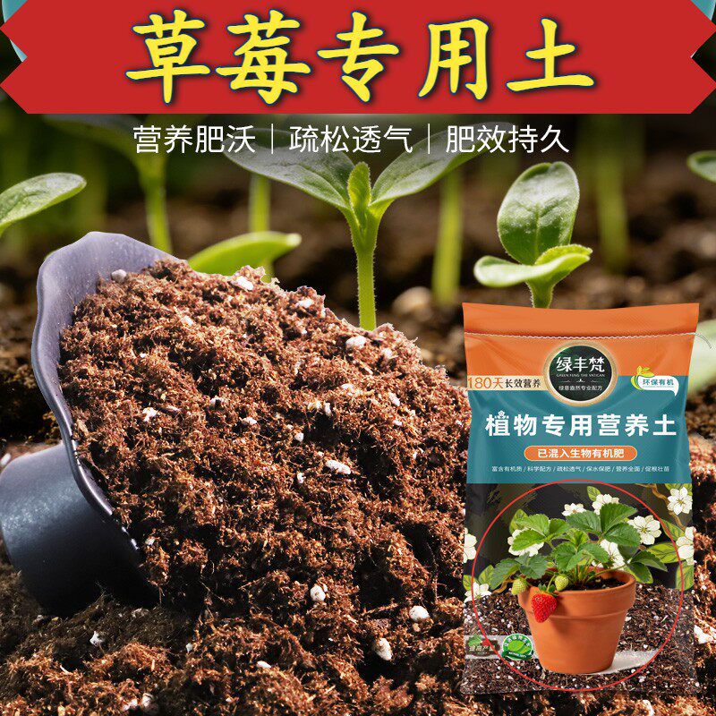 草莓适用泥炭土利于发根栽植盆栽土腐熟充分改良基质试用装多肉