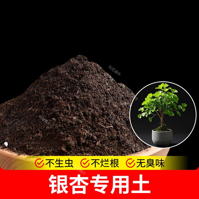 银杏专用土营养土肥料有机肥蓬松室内养花专用土泥土花盆花园土壤