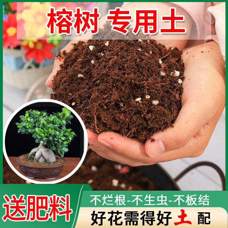 榕树专用土种绿植土培养土养花种植土种花有机盆栽花泥土壤培养土