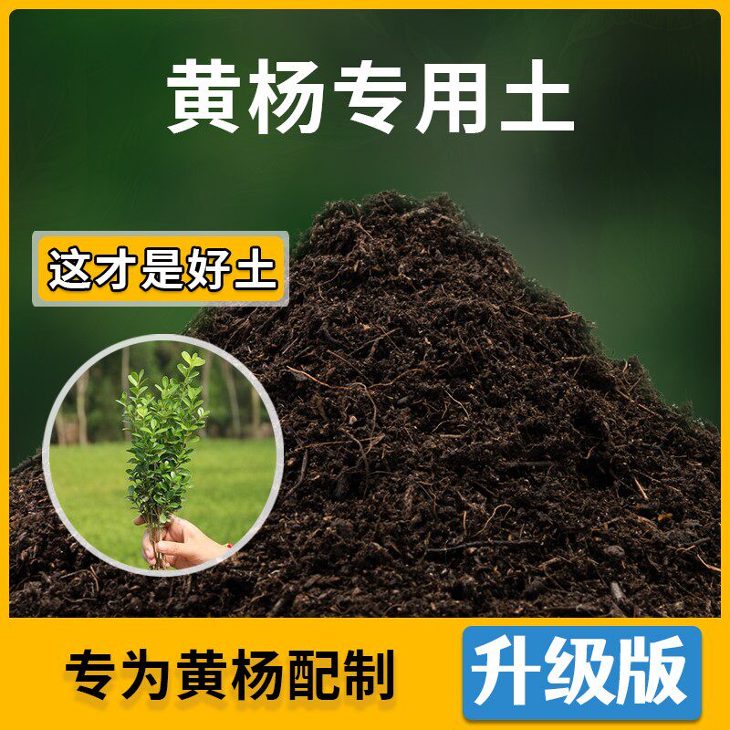 黄杨专用土花草种植土壤黄杨营养土盆栽种花养花植物肥料有机土