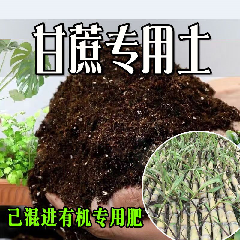甘蔗专用土 甘蔗专用营养土 盆栽养花种花土通用种植土壤有机肥料