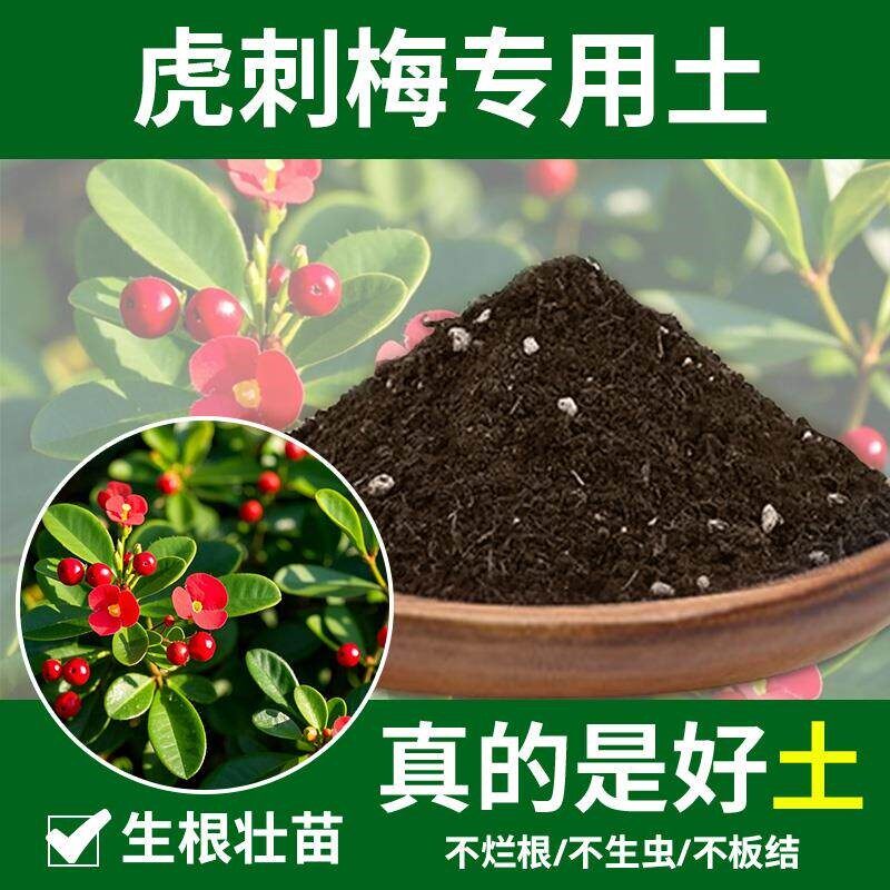 虎刺梅专用土育苗花土室内养花专用土种花土花园植物通用花草园艺