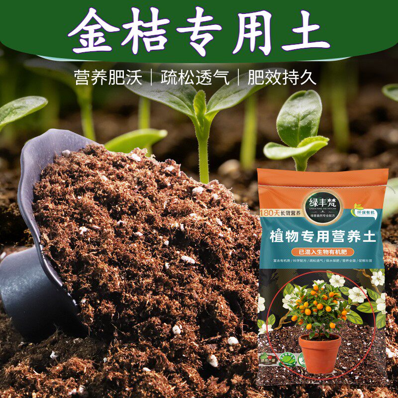 金桔专用种植土透气性佳花卉盆栽土温和不烧根防黄叶家用装球根